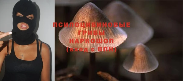 прущая мука Лабытнанги