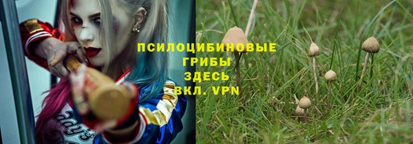 дурь Ладушкин