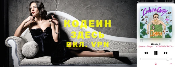 дурь Ладушкин