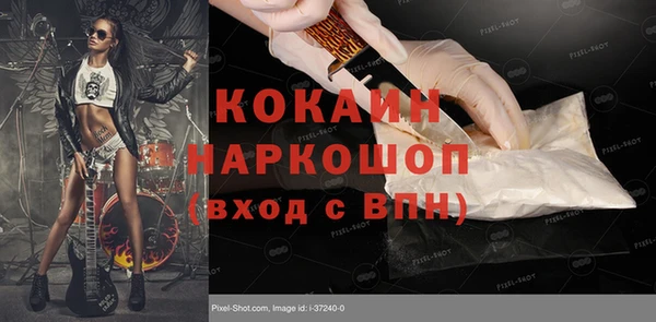 дурь Ладушкин