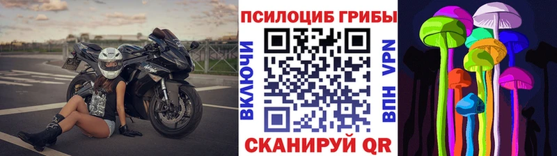 Галлюциногенные грибы Psilocybe  Яровое 